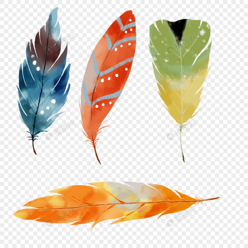 水彩彩色鸟类羽毛图片