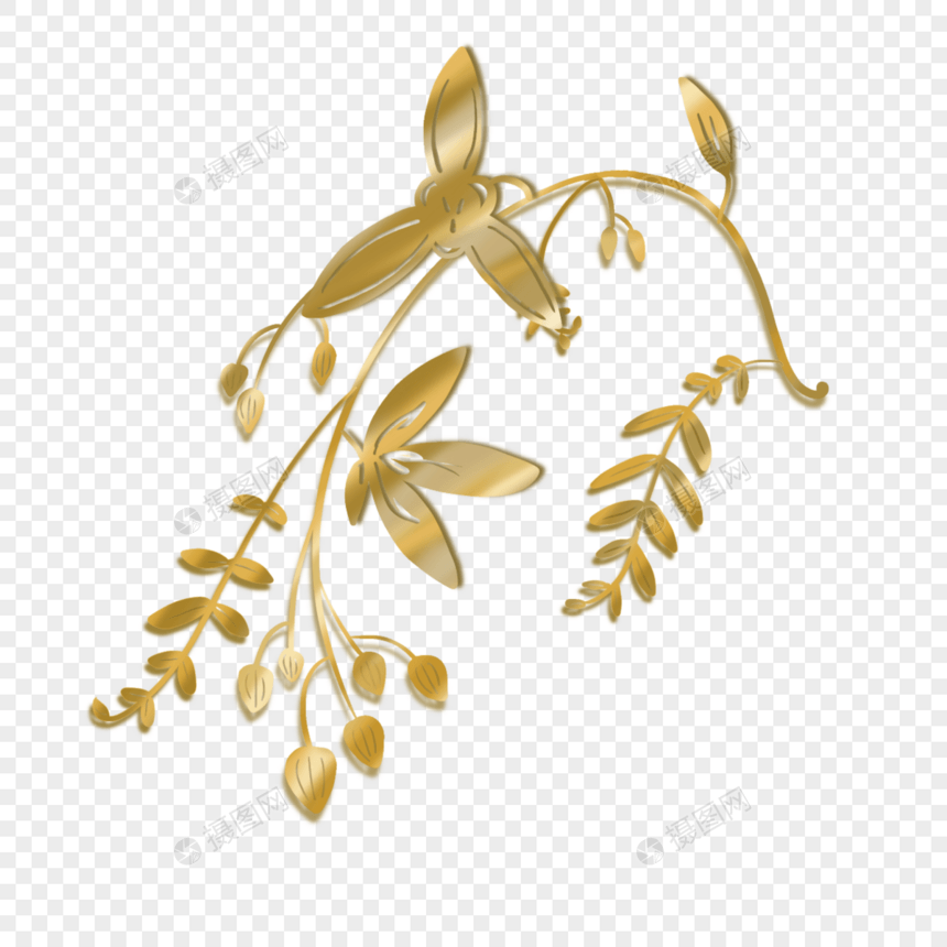 光效金枝抽象兰花花卉图片