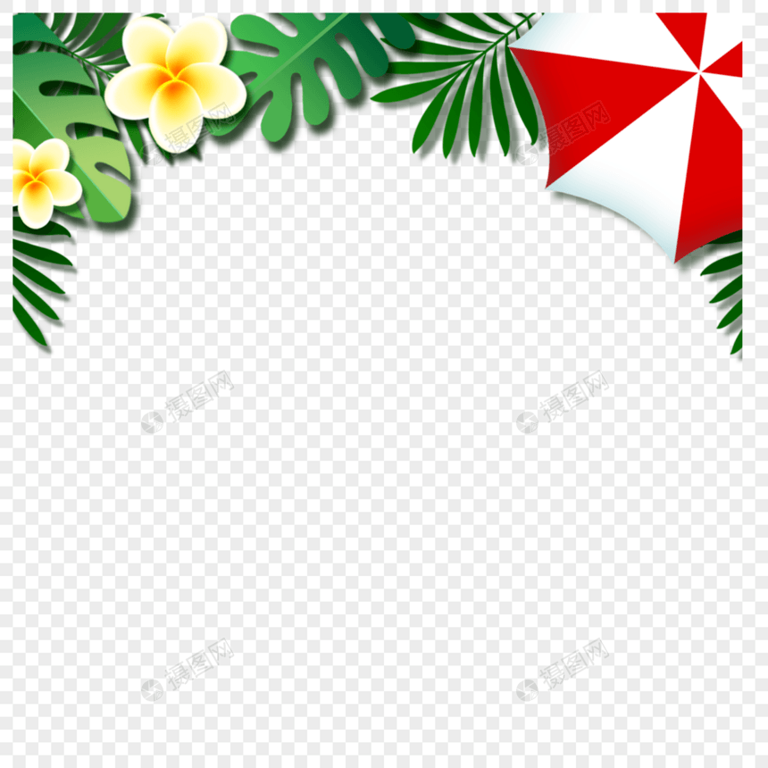 夏季热带植物的叶和花边框图片