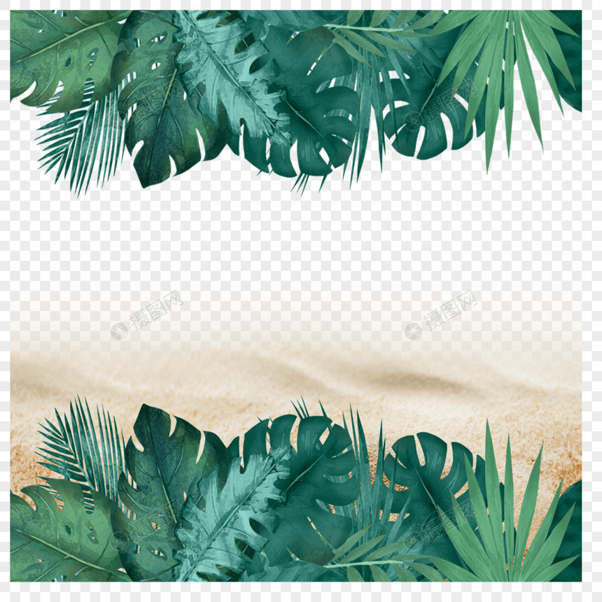 夏天夏季沙滩热带绿叶植物图片