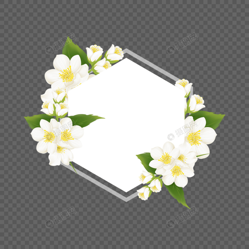 六边形茉莉花卉边框图片