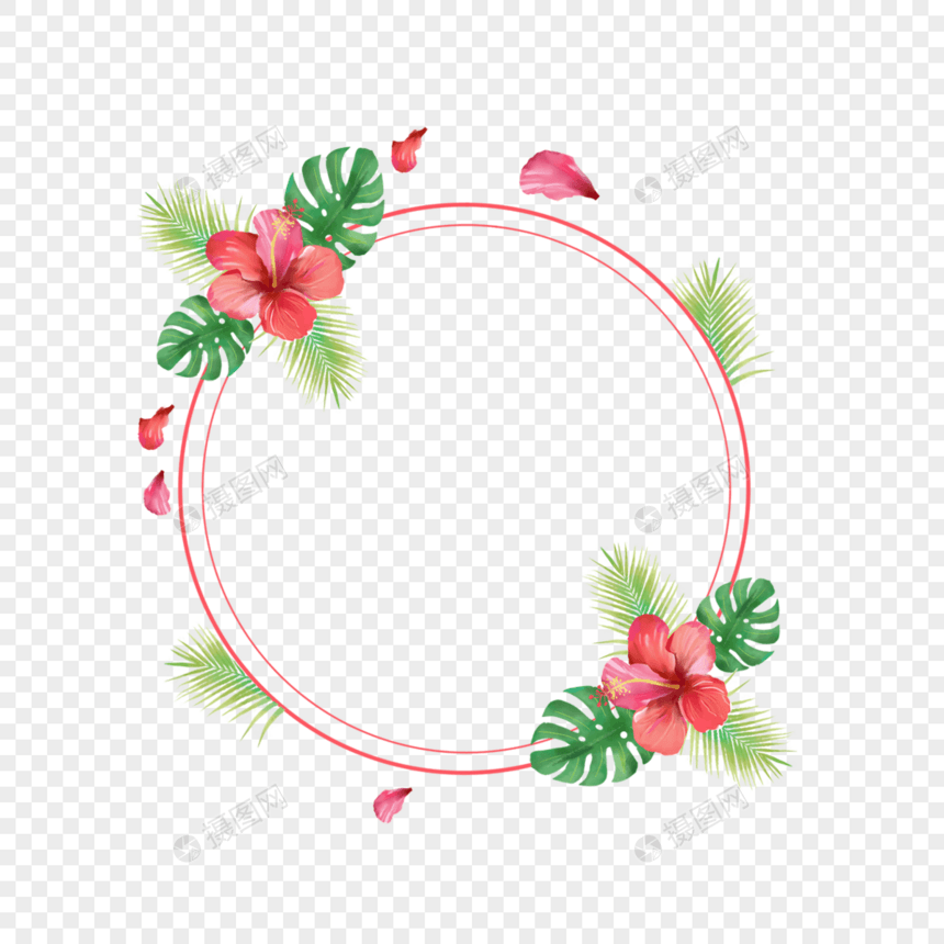 圆形红色木槿花边框图片