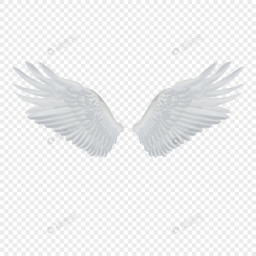 白色羽翼翅膀图片