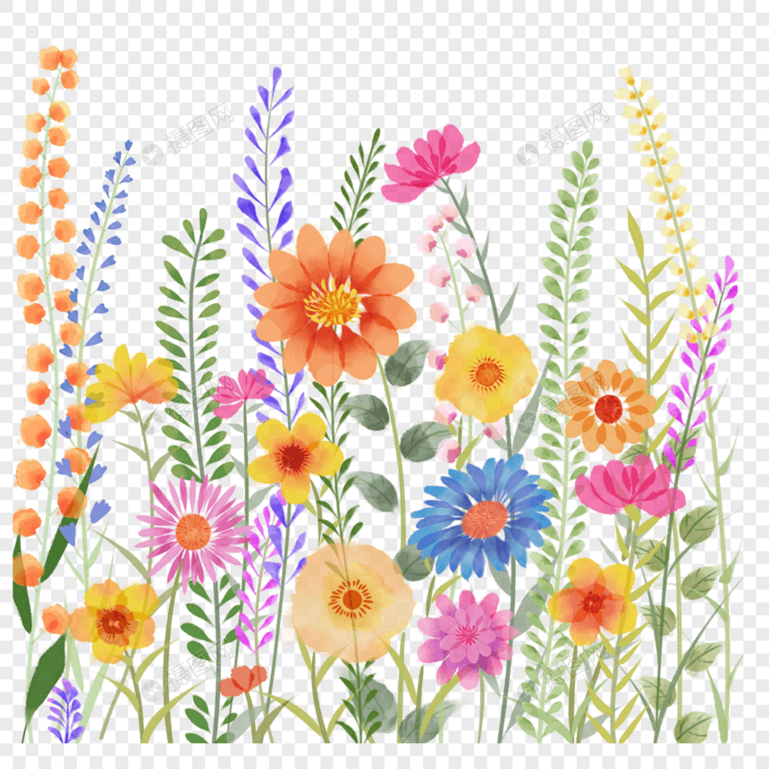 水彩风格彩色花卉植物图片