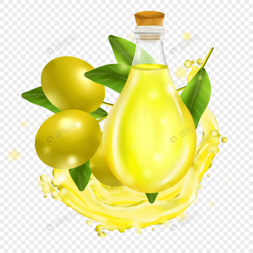橄榄油橄榄树叶透明图片