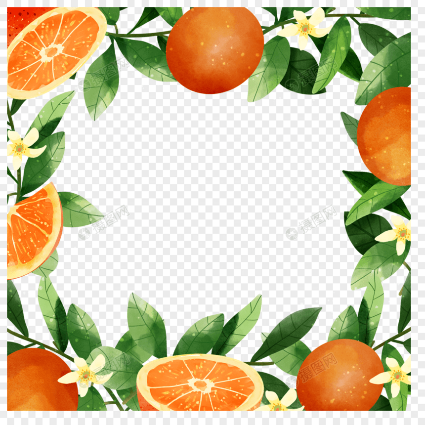 橙子水果水彩花卉边框图片