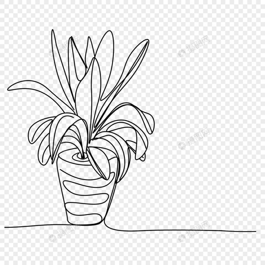 抽象线条画植物盆栽图片