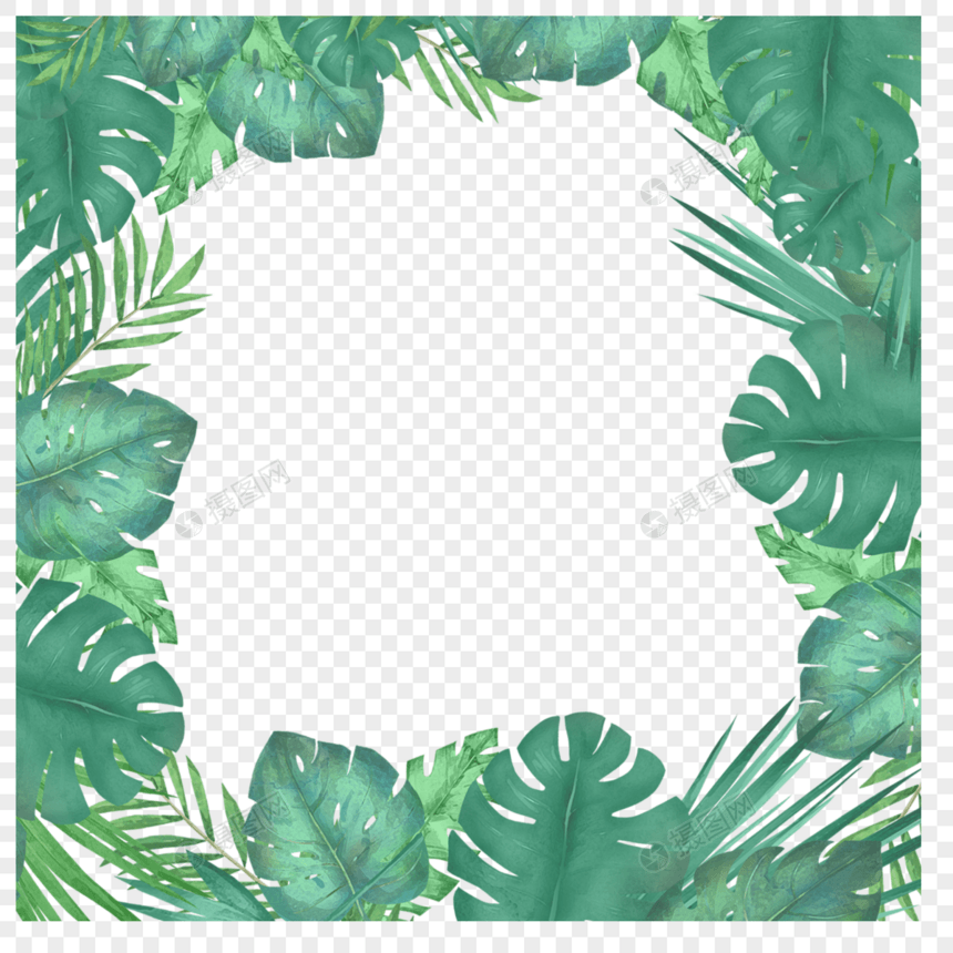 绿色夏季热带植物树叶边框图片