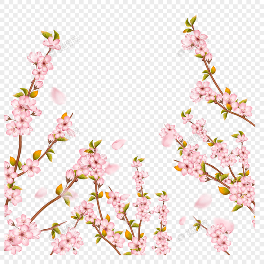 春天清新光效樱花枝条图片