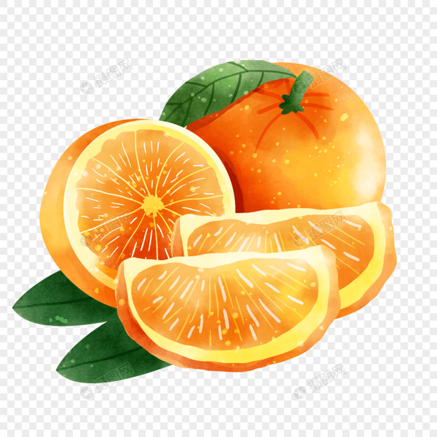 橘子水彩风格水果维生素果肉图片