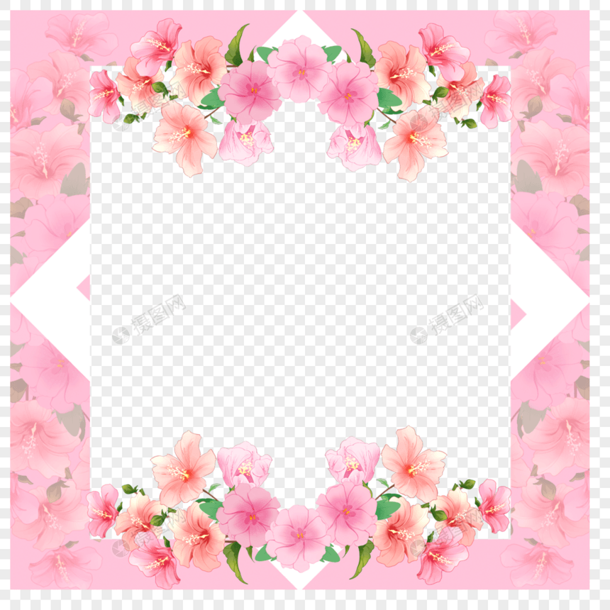 正方形边框花朵木槿花图片