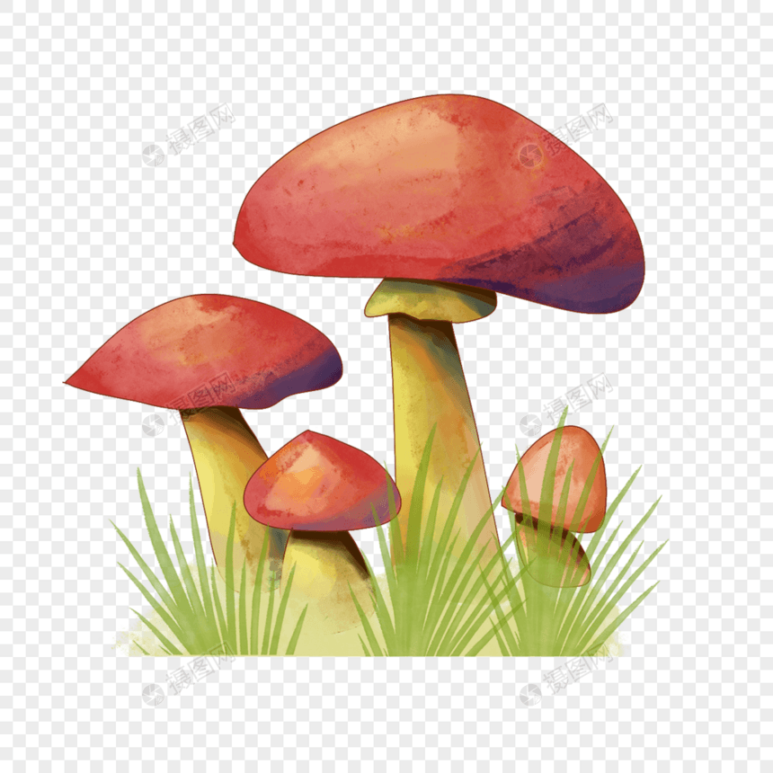 可爱的水彩童话蘑菇图片
