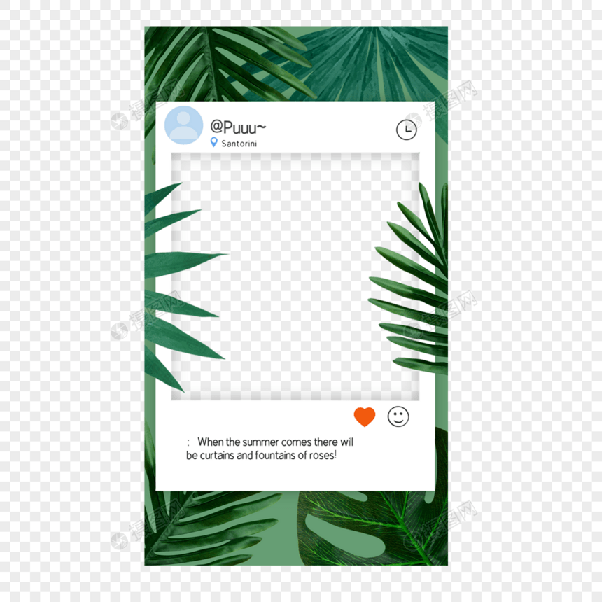 热带树叶宝丽来故事绿色边框流行图片