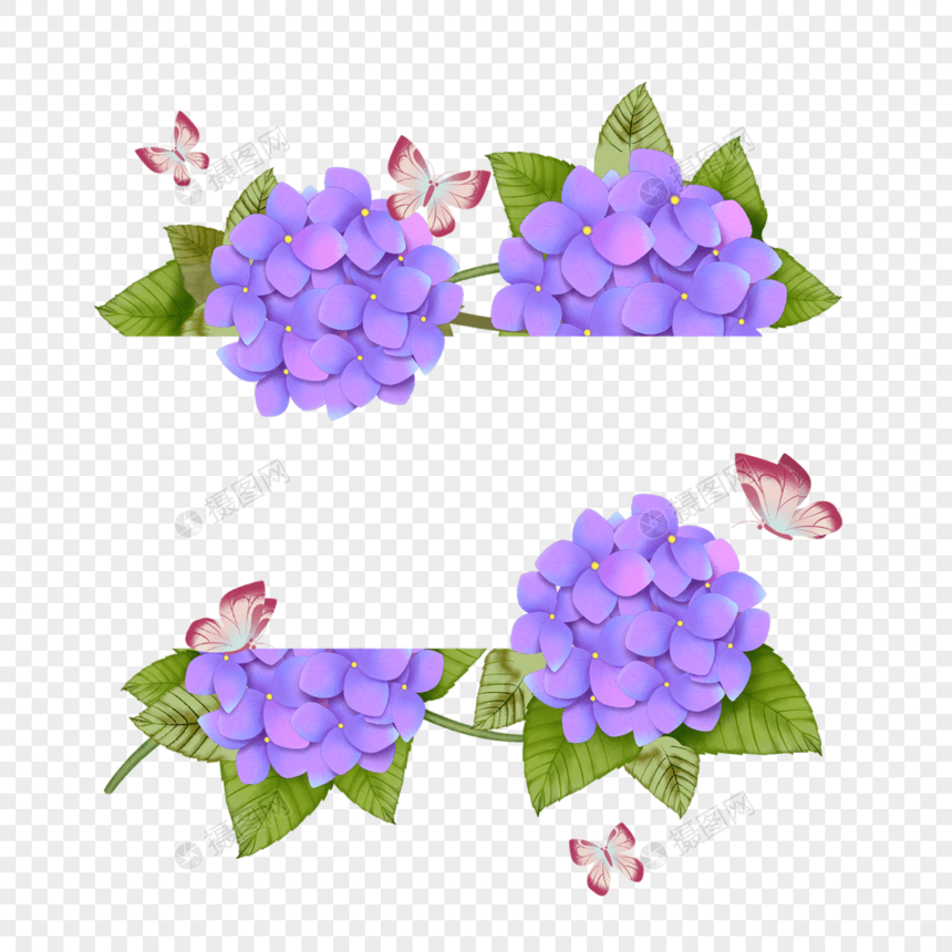 水彩绣球花卉紫色婚礼边框图片