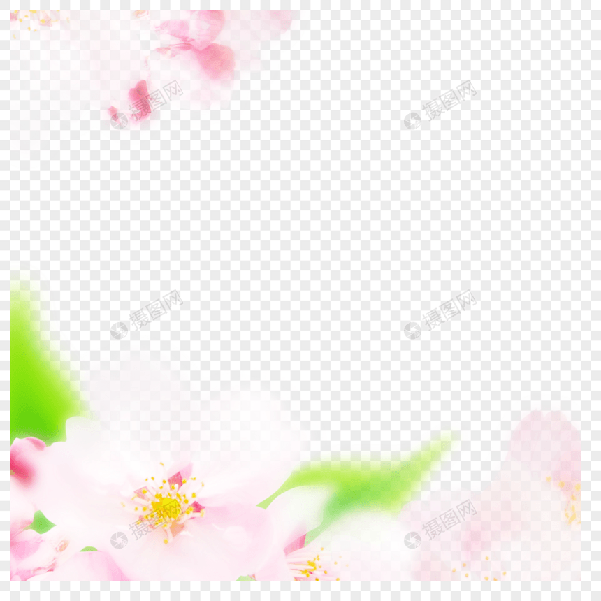 粉色浪漫花朵边框图片