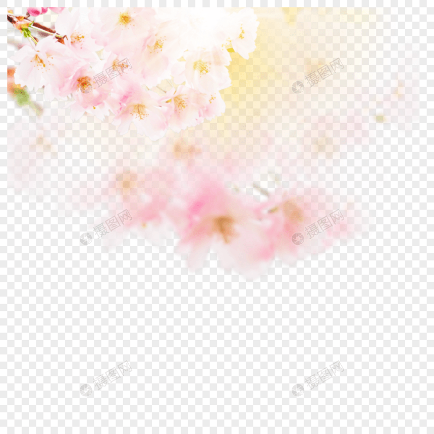 浪漫粉色花朵元素图片