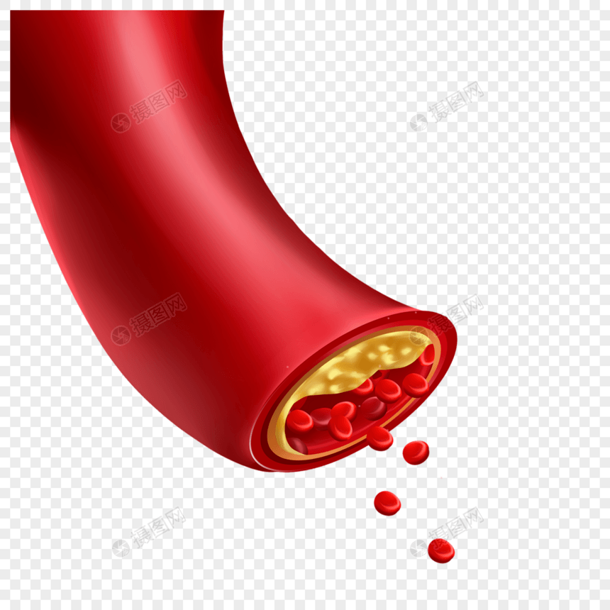 人体血管医学心血管疾病插图图片