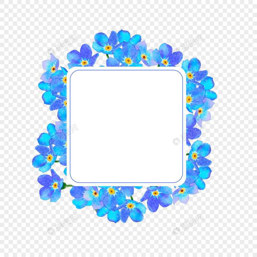 水彩蓝色勿忘我花卉方形边框图片