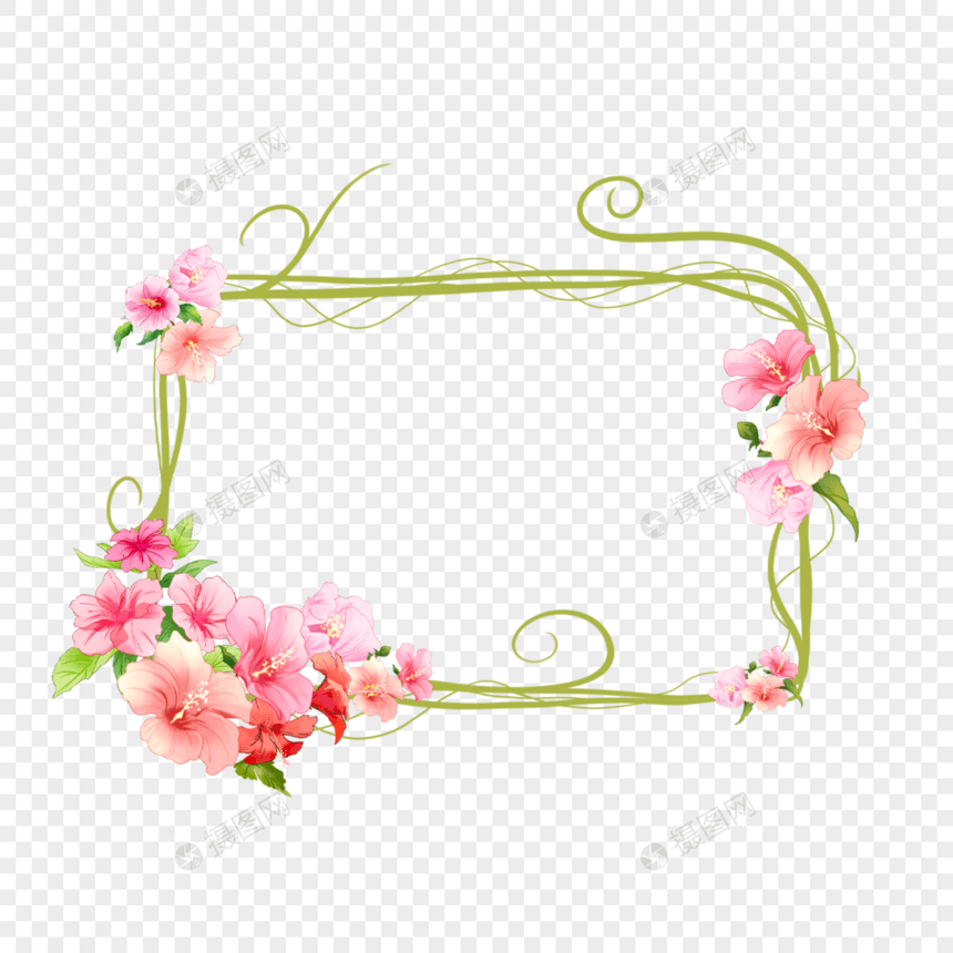 木槿花花卉藤蔓边框图片