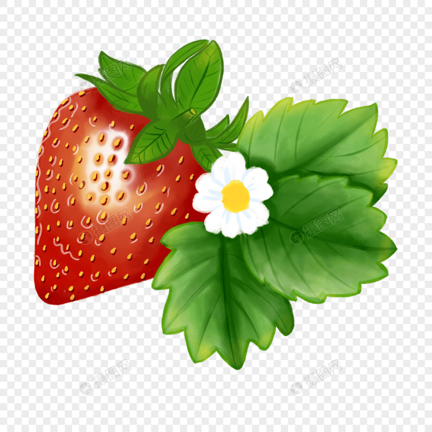 与花和叶子的水彩草莓图片