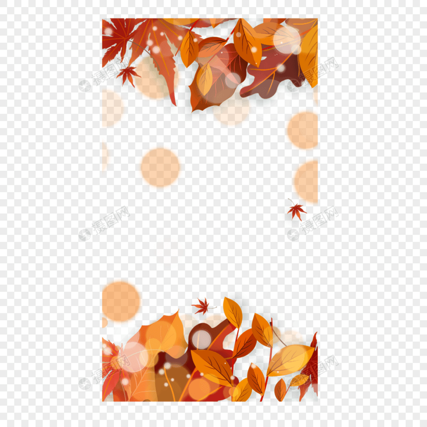 秋季光效树叶故事边框凉爽季节图片