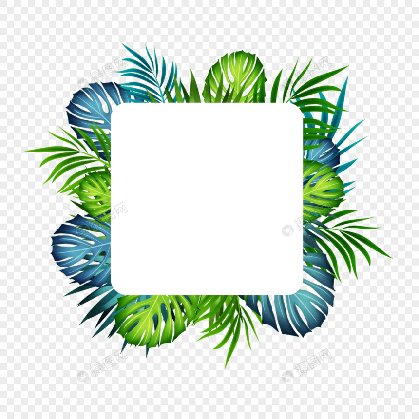 夏季热带棕榈叶方形边框创意图片