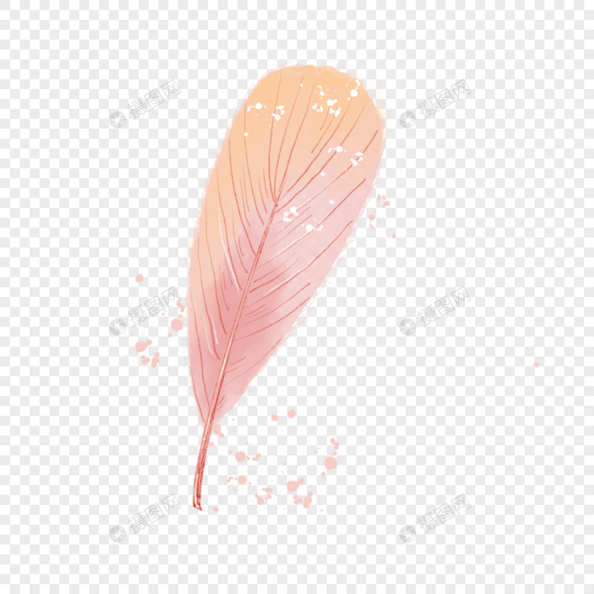 水彩玫瑰金抽象羽毛图片