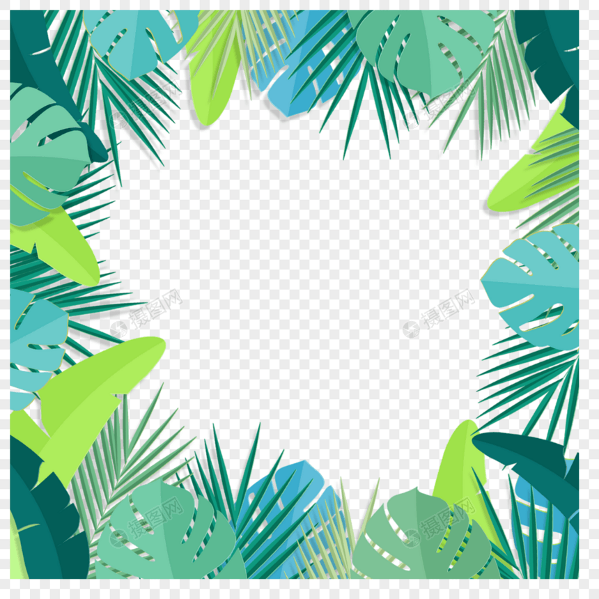 夏季热带树叶绿色植物创意边框图片