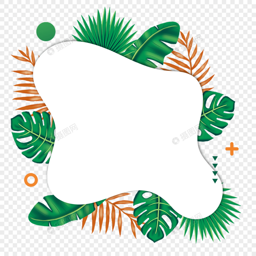 夏季热带树叶抽象流体边框植物图片