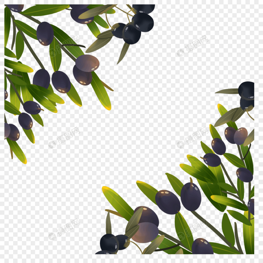 橄榄叶子创意边框图片