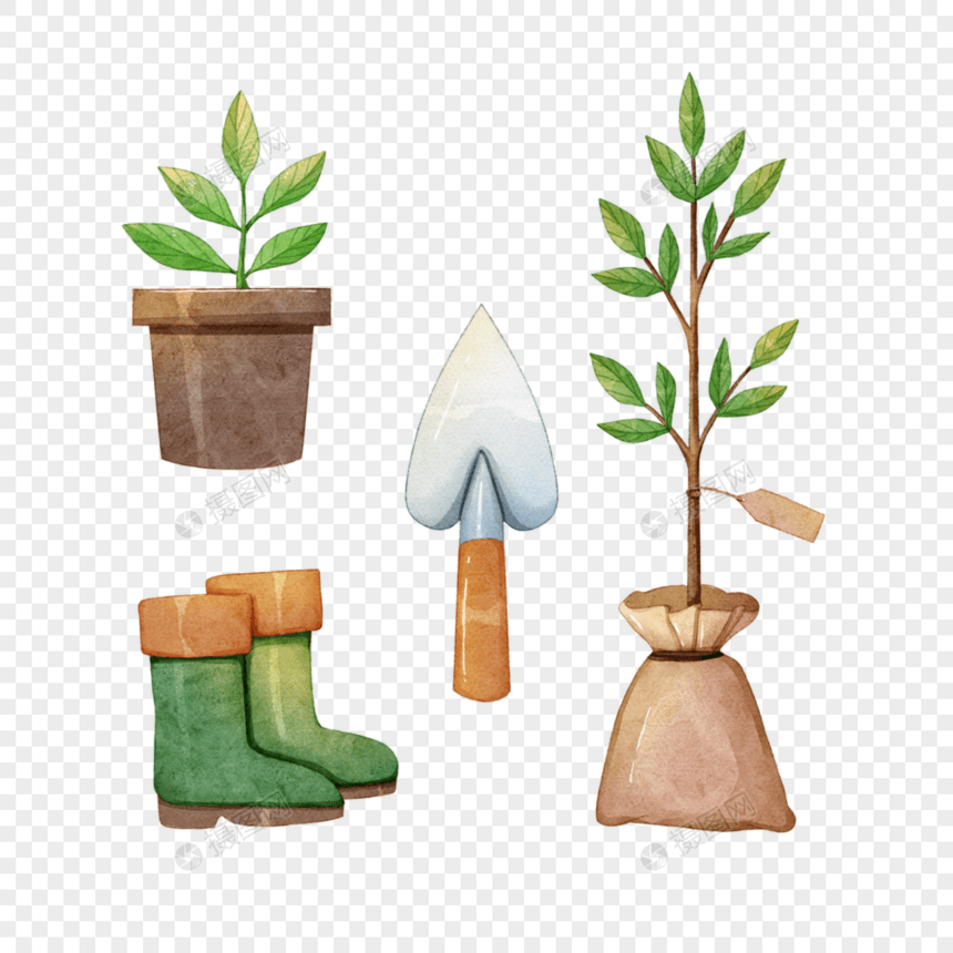 园艺工具和树苗水彩图片
