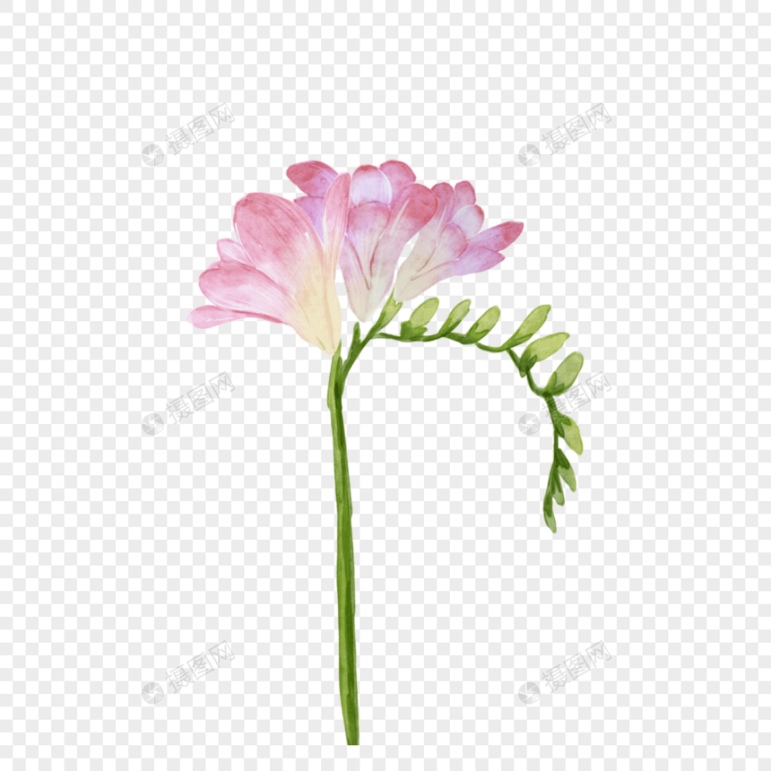 苍兰浅粉色婚礼花卉图片
