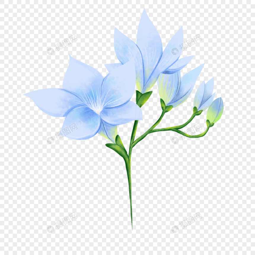水彩风格蓝色花卉图片