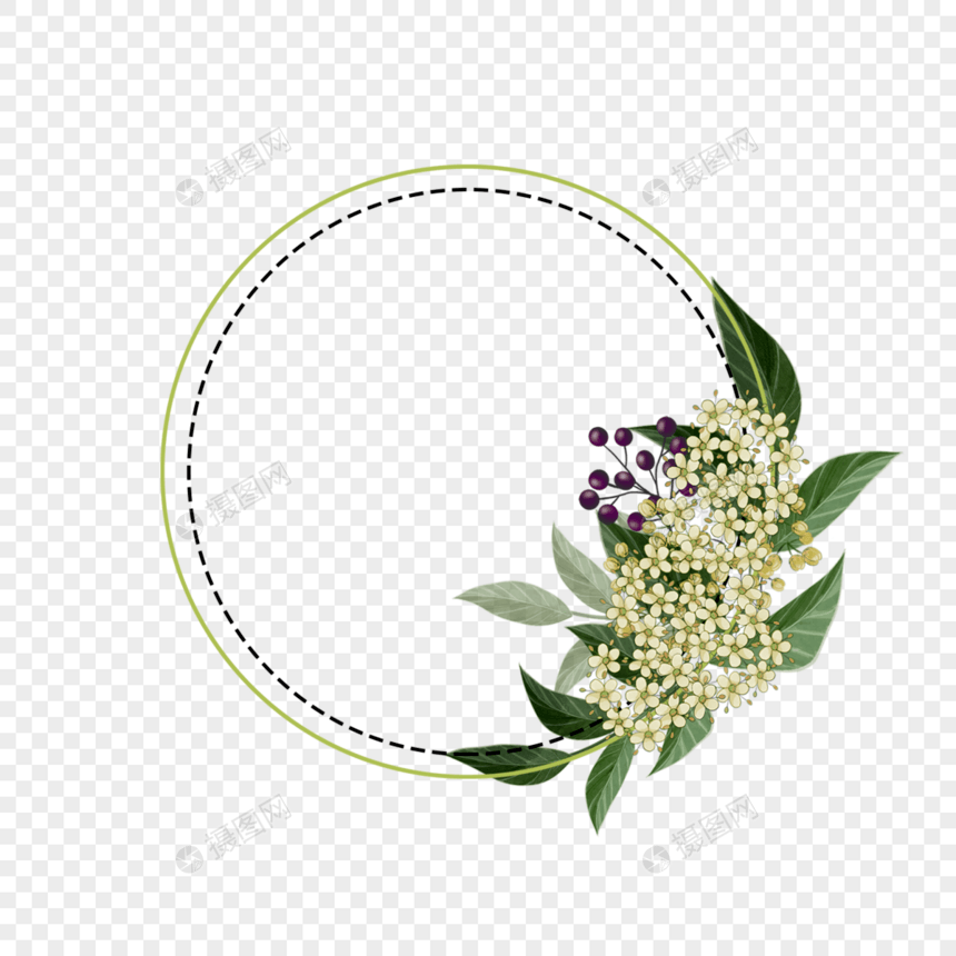 水彩荚蒾花卉圆形边框图片