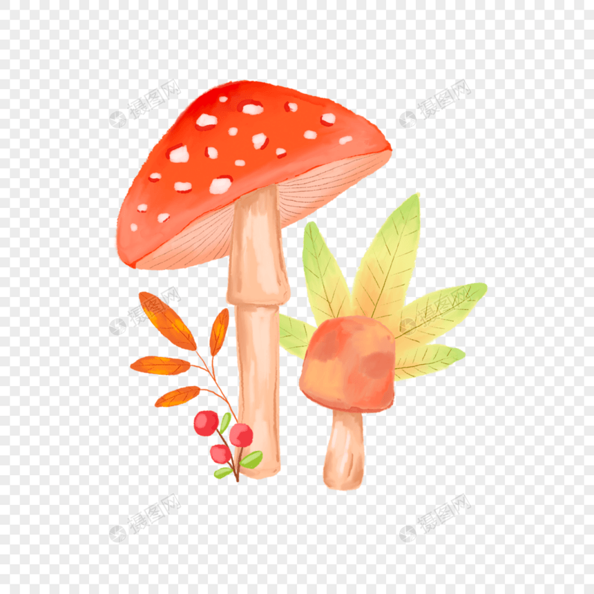 可爱的水彩多彩蘑菇图片