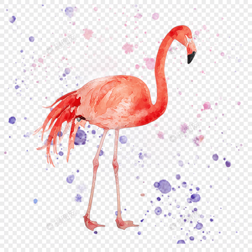 水彩粉红色火烈鸟图片