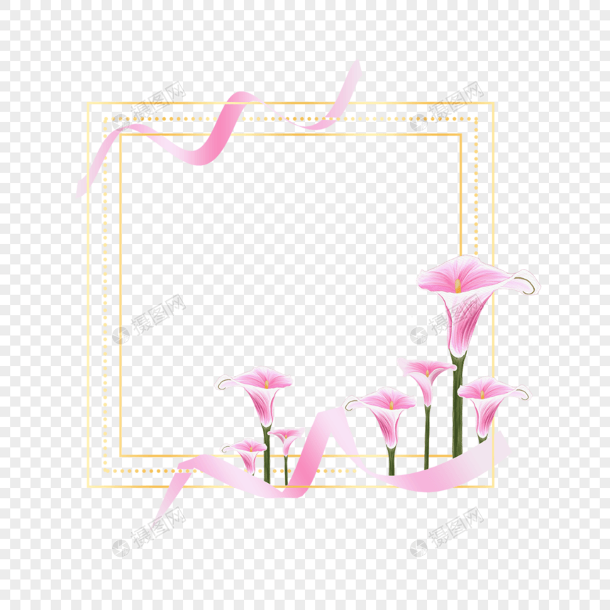 粉色马蹄莲婚礼花卉水彩边框图片