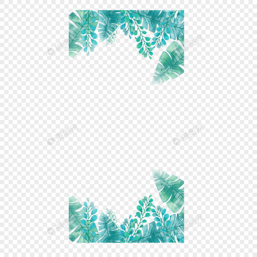 夏季热带蓝色树叶边框图片