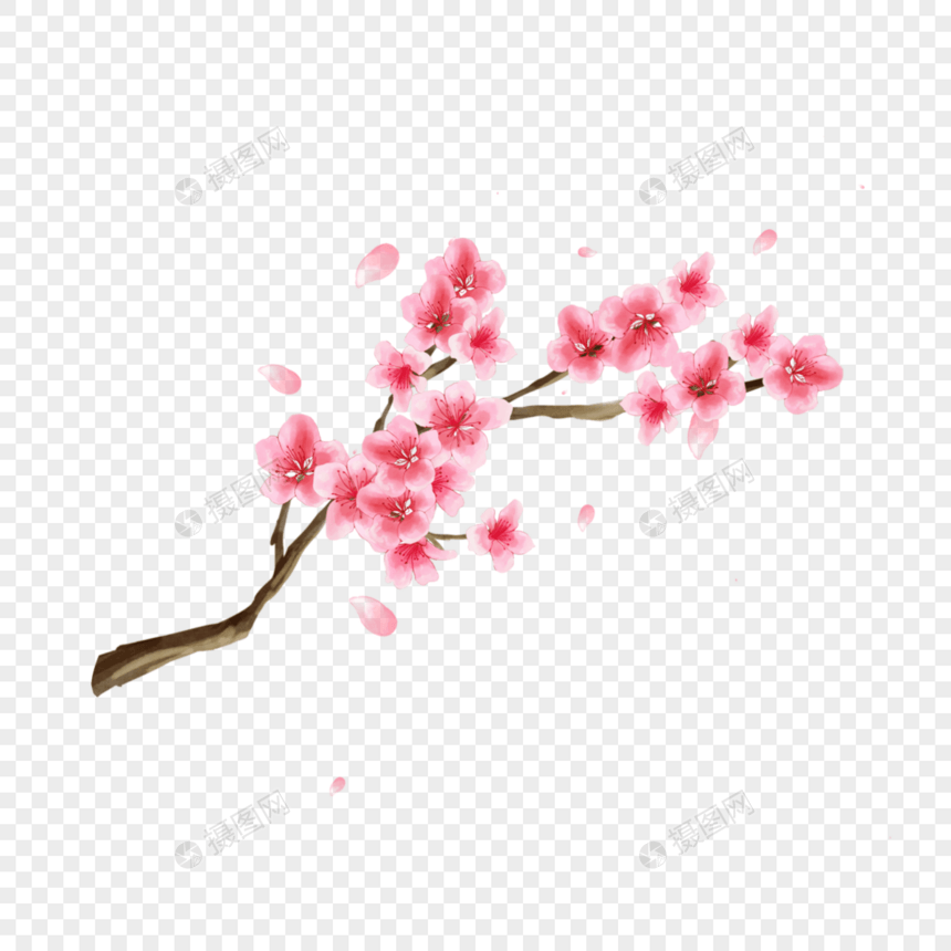桃花水彩花卉植物图片