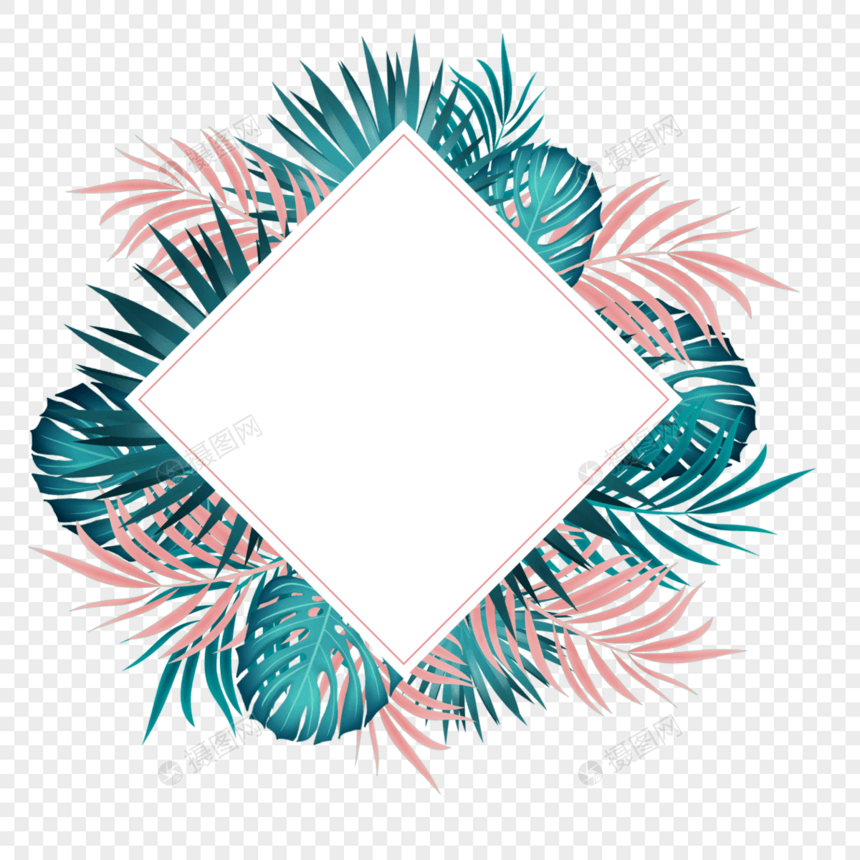 夏季热带棕榈叶边框图片