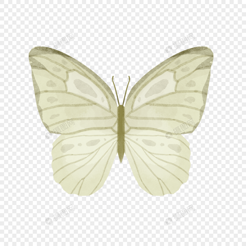 水彩风黄色蝴蝶图案图片
