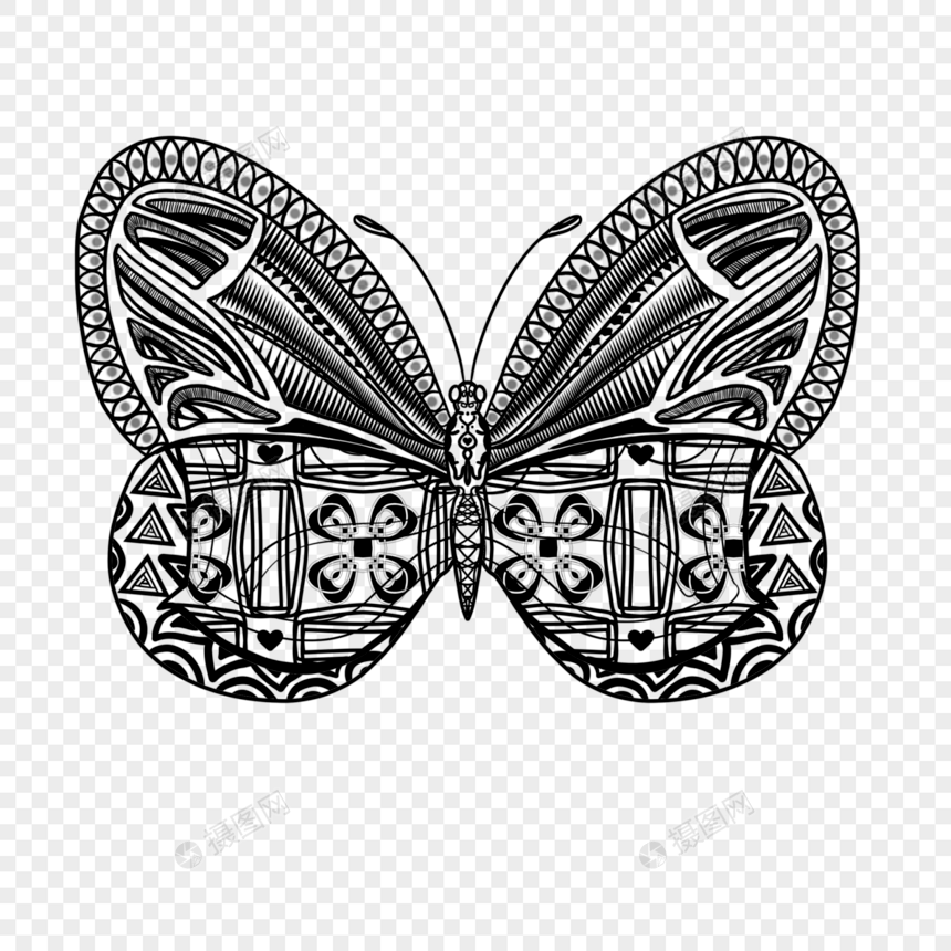 几何线条画昆虫蝴蝶填色本图片