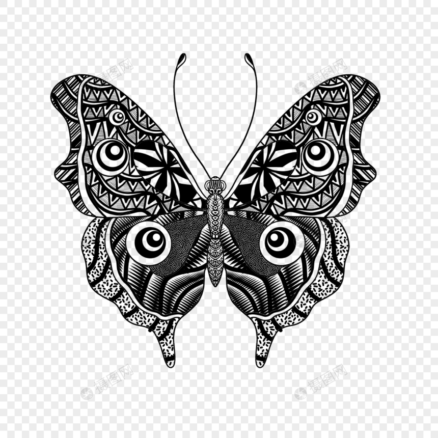 几何线条画对称蝴蝶填色本图片