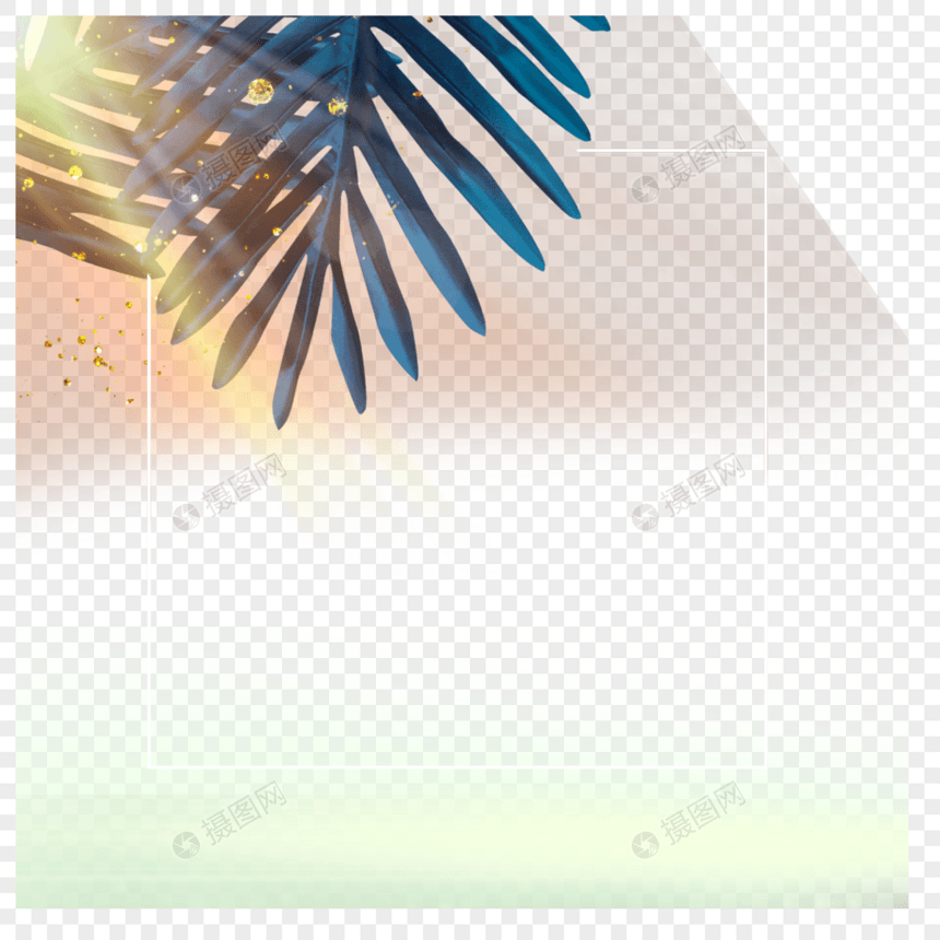 阳光棕榈树树叶边框图片