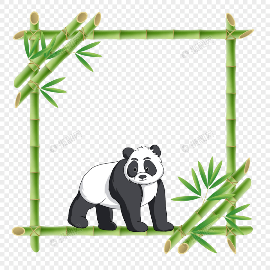站立的熊猫方形竹子花卉边框图片