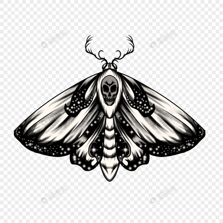 飞蛾纹身翅膀带有星星和头骨图案图片