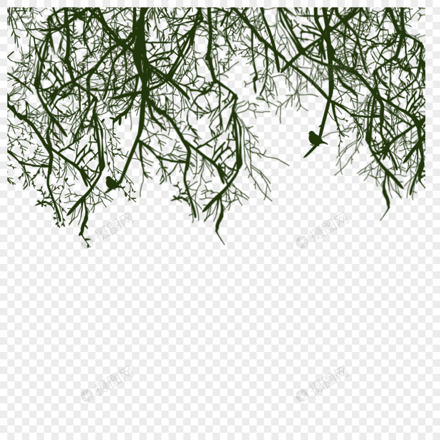 树枝绿色植物枝干倒影图片