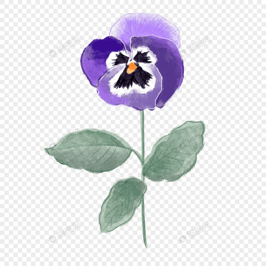 三色堇水彩风格蝴蝶花紫色单枝图片