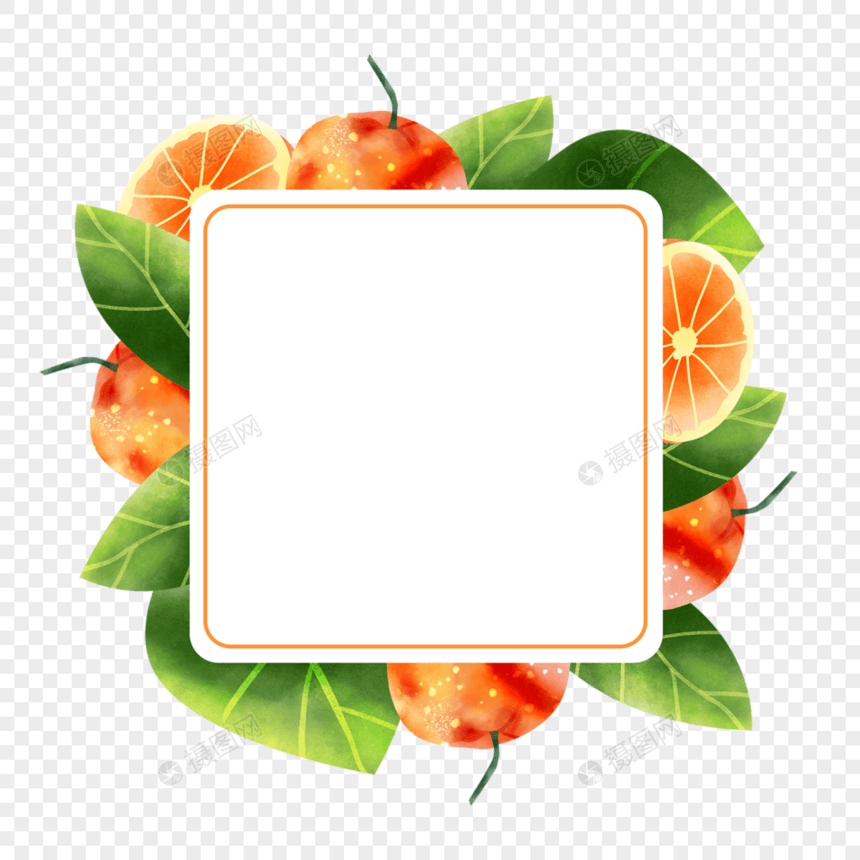 橙子水果水彩正方形边框图片
