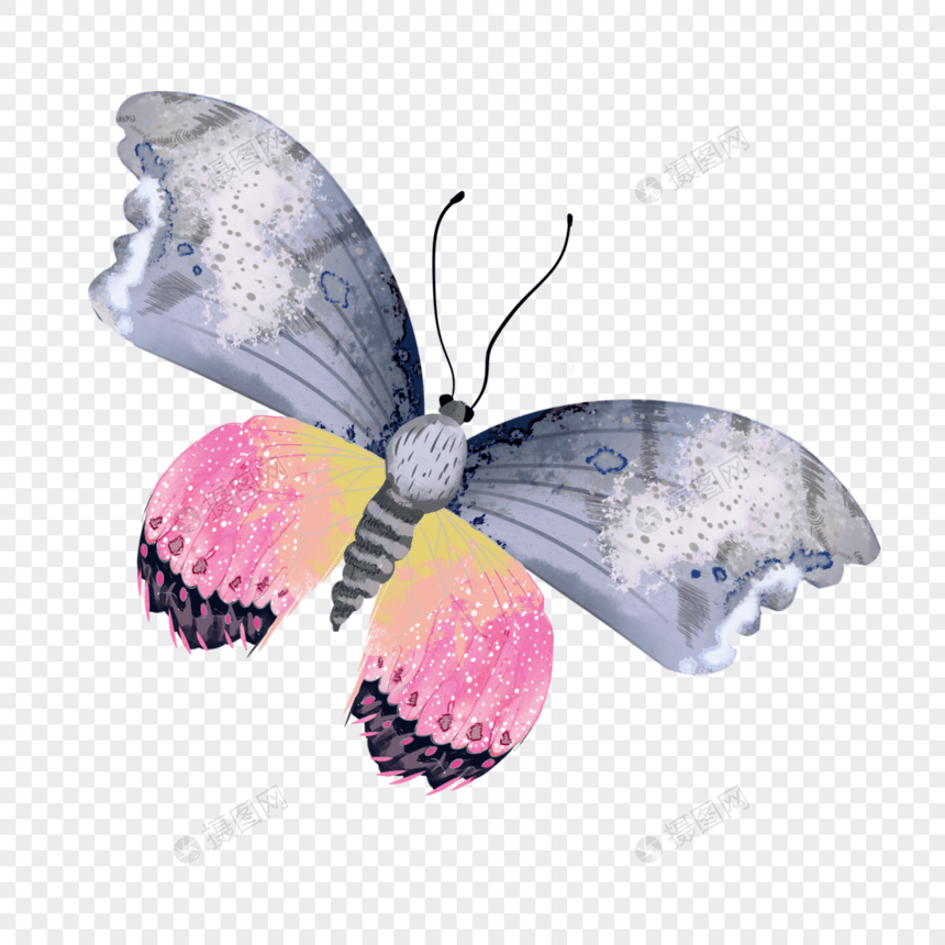波西米亚复古蝴蝶彩绘装饰图片